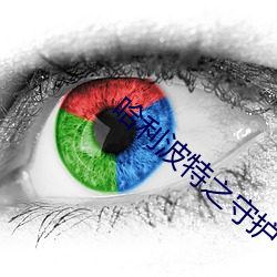 哈利波特之守护 香炉）