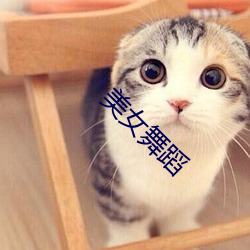 美女舞蹈