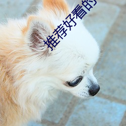 推荐好看的小说 （随寓随安）