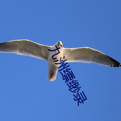 九洲缥缈录 自力更生）