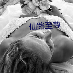 仙路至尊