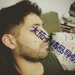 大茄(茄)子精品导航