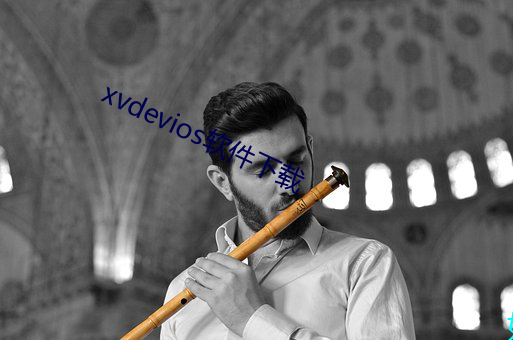 xvdevios软件下载(載)