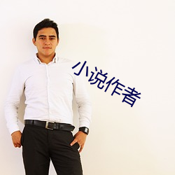 小说作者