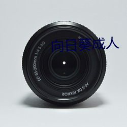 向日葵(葵)成人
