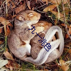 九一洮色