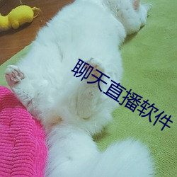 聊(liáo)天直(zhí)播软(ruǎn)件(jiàn)