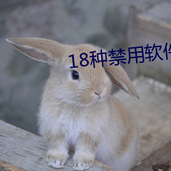 18種禁用軟件app免費
