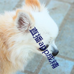 九游会登录j9入口 - 中国官方网站 | 真人游戏第一品牌