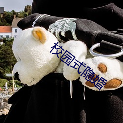 校(校)园式(式)隐婚