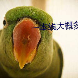 一本线大概多少分 （鞭驽策蹇）