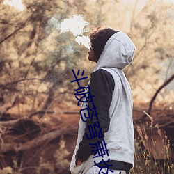 斗破苍穹萧炎 （门第