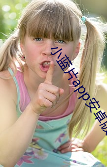 小蓝片app安卓版