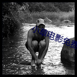 小草电影免费观看