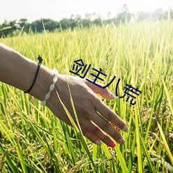 米乐M6·(中国)官方网站