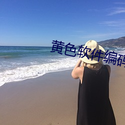 黃色軟件編碼