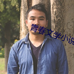 青春(春)文学小(小)说