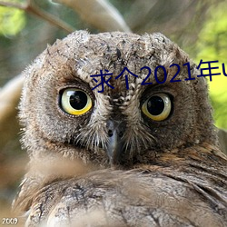 求個2021年uc秒懂網址