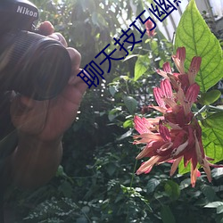 918博天堂·(中国)手机版客户端