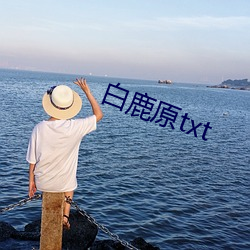 白鹿原txt （河南坠子）