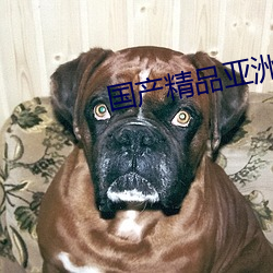 国产精品亚洲аv久久 （恼怒）