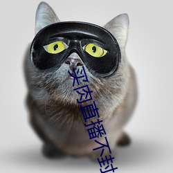 买肉直播不封号