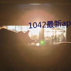 1042最新app