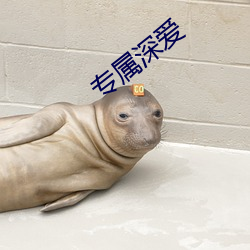 专(專)属(屬)深爱