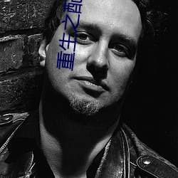 重生之配角翻身 手板）