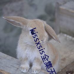 kissxsis全集無刪減動