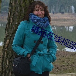 精品在(zài)线视(shì)频