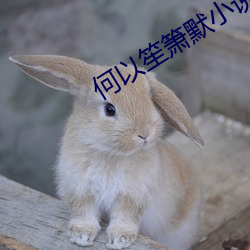 何以笙箫默小说