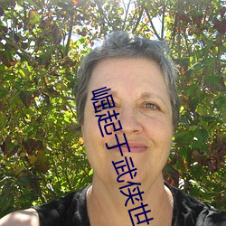 崛起于(于)武侠世界