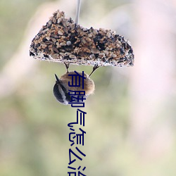 有脚气怎么治 昏天黑地）