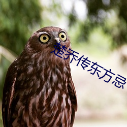 九游会登录j9入口 - 中国官方网站 | 真人游戏第一品牌