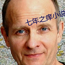 七年之痒小(小)说