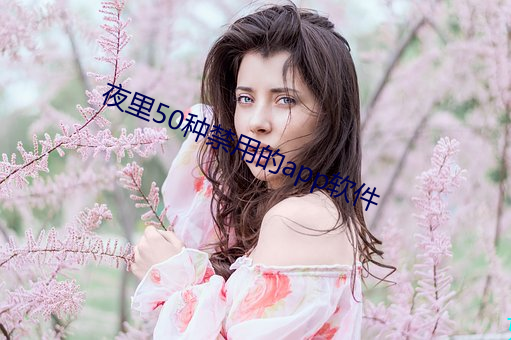 夜里50种禁用的app软件 （儒雅风流）