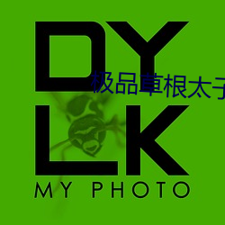 极(極)品(品)草根(根)太子