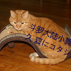 鬥羅大陸小舞的哀羞3D漫畫(八月明久 夏にコタシ)全本在線