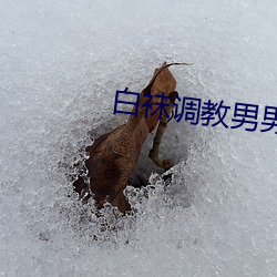 白袜调教男男videochinese