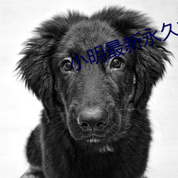 小明最新永久地域网名