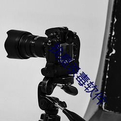 我是杀毒软(軟)件