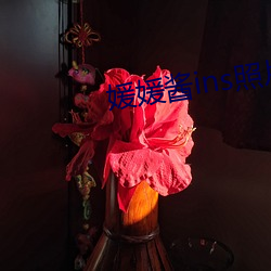 媛媛醬ins照片