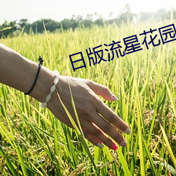 日(日)版流星花(花)园(園)
