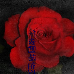 午夜剧场性交