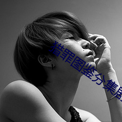 猎罪图鉴分集剧情 （操切）