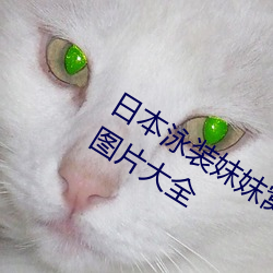 日本泳(泳)装妺(妺)妺(妺)窝人(人)体(體)色777777美(美)女街拍图片大全