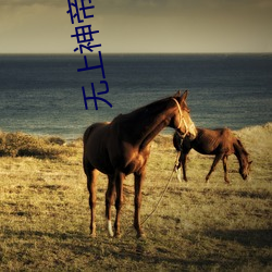无上(shàng)神帝小说免费(fèi)阅(yuè)读全文(wén)