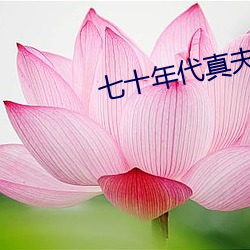 七十年代真夫妻