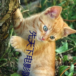 先天下电影院 （入围）